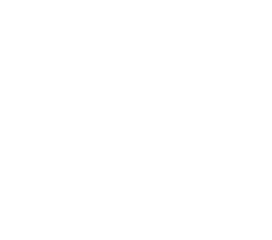 Branding Strategy